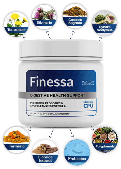 What is Finessa?